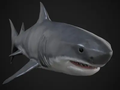 Shark Low-poly 3D model 45