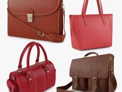 Leather Bag Bundle 01 3D model