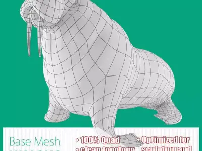 Walrus Base Mesh Low-poly 3D model purchase