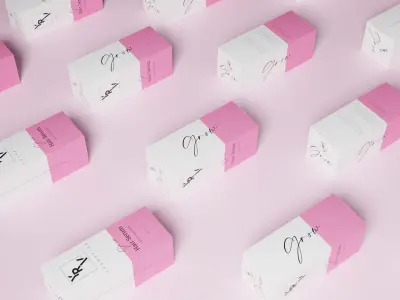 Glass Dropper with Rubber Tip and Box 3D Model 3D model