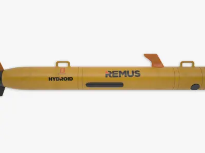 Remus 100 3D model