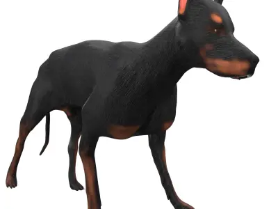 Doberman Low-poly 3D model