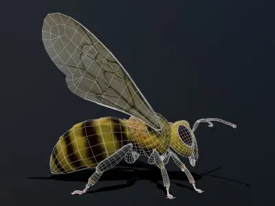 Bee low poly 3D model Low-poly 3D model