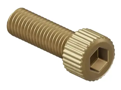 Antique Brass Socket Bolt 3D model