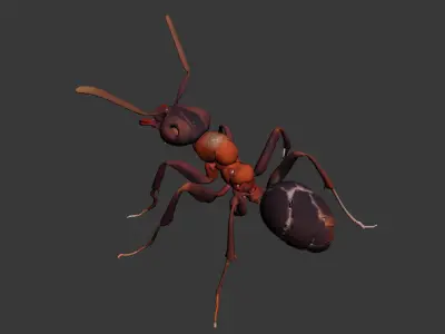 Black ant 3D model purchase