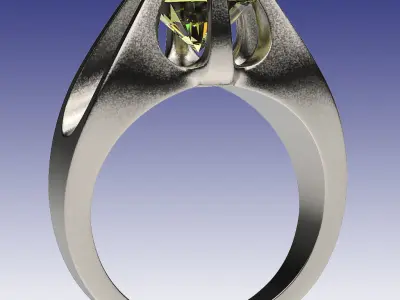 Ring Fortune 3D print model