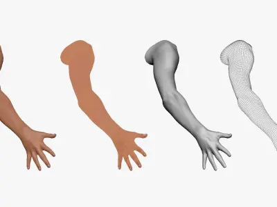 001294 hand of woman all fingers are opened low poly Low-poly 3D model