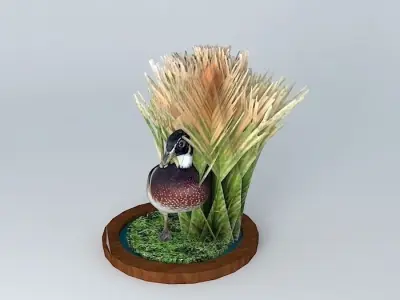 Wood Duck mount Free 3D model
