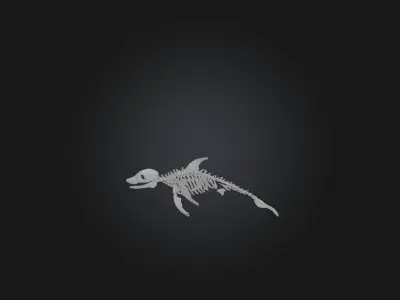 Realistic Dolphin Skeleton Model Low-poly 3D model