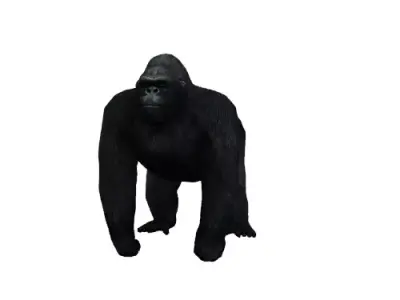 Gorilla Low-poly 3D model