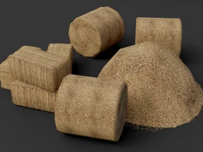 Hay Collection Low-poly 3D model