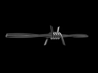 Barbed Wire 3D model buy