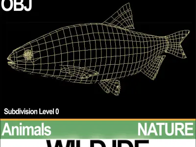 Wild Ide 3D model