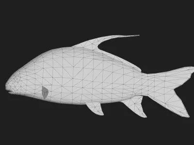 Carp fish Low-poly 3D model
