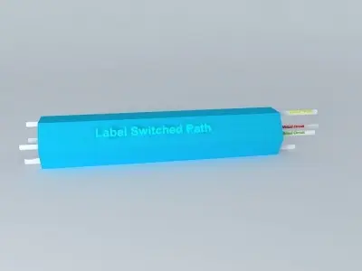 MPLS Label Switch Path 3D model