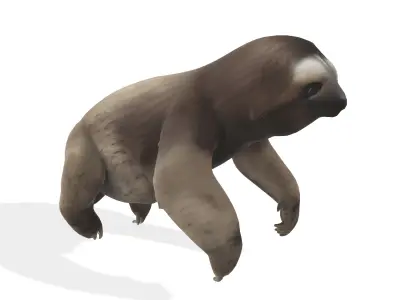 Chill the Stylized Sloth 3D model