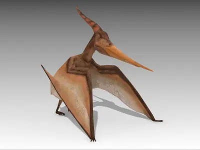 Pteranodon dinosaur Low-poly 3D model