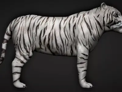 White Tiger 3D model
