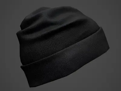 Winter Hat 3D model