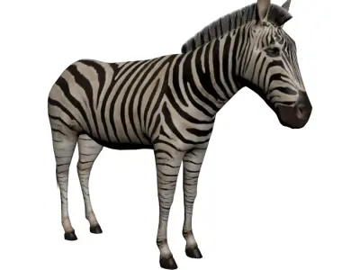 Low poly Zebra 3D model