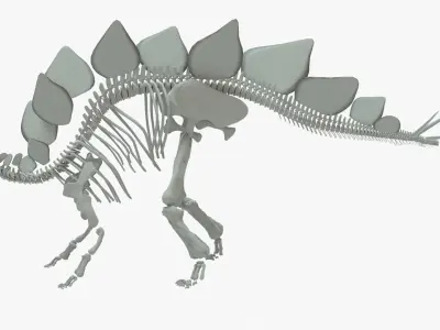 Stegosaurus Rigged Skeleton Low-poly 3D model
