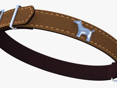 Dog Collars Collection 4 3D model