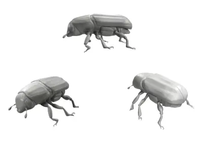 Realistic Beetle model three beetles 3D model
