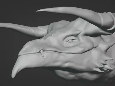 Old dragon 3D model
