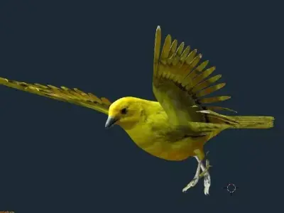 yellow bird animated Low-poly 3D model