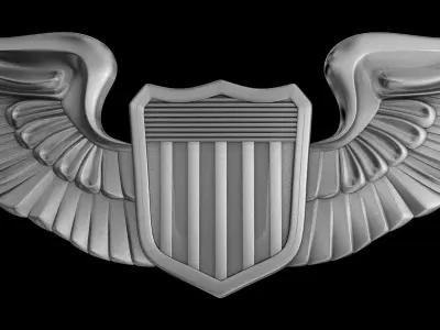 US Army Air Force Pilot Wings Badge 3D model