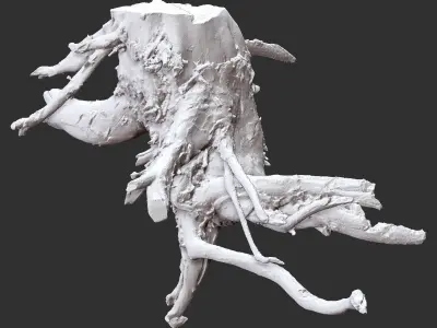 3d scan tree root in highpoly 3D model