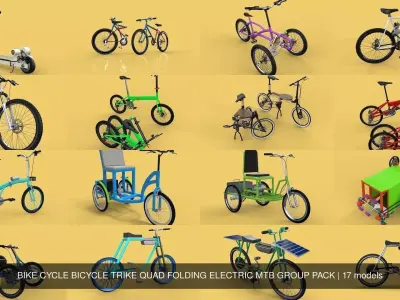BIKE CYCLE BICYCLE TRIKE QUAD FOLDING ELECTRIC MTB GROUP PACK