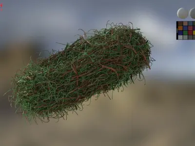 Bird Nest 3D model 5