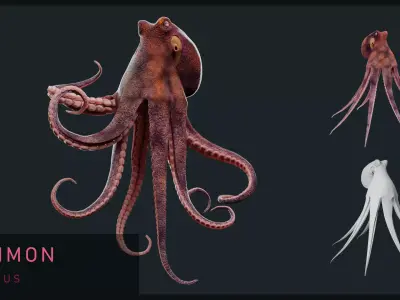 Animated Common Octopus Low-poly 3D model