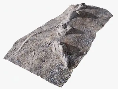 Ground Gravel Collection StemCell 3D model