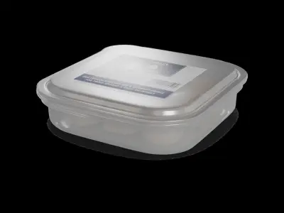 Frozen fish Frozen Scallops 3D model