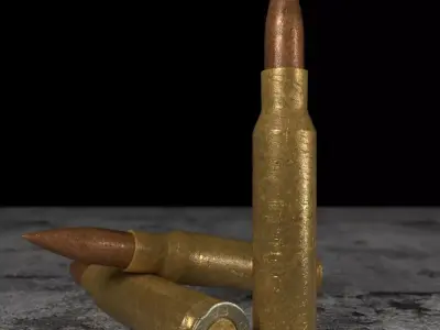 Rifle Bullets 3D model