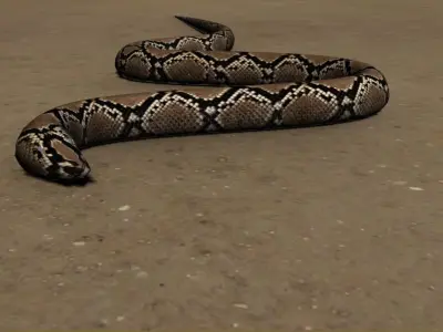 Snake Free 3D model 6