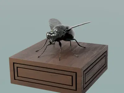 House Decoration Fly Bug Statue Low-poly 3D model