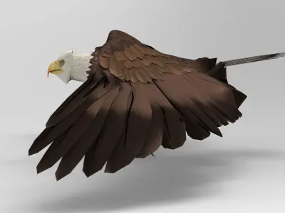 Eagle - Rigged - Animated Low-poly 3D model