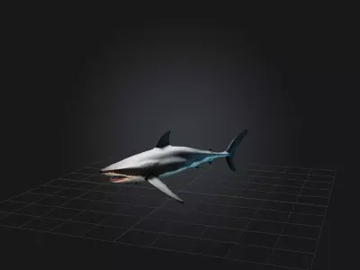 Realistic Shark Model Low-poly 3D model purchase