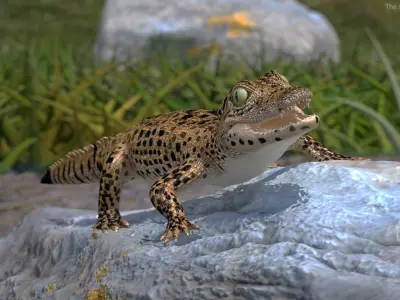  Rigged Reptiles Collection 2 for Maya 