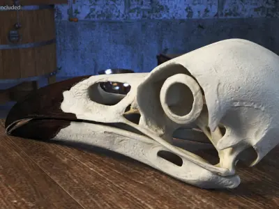  Detailed Crow Raven Skull with Eye Support Bone 