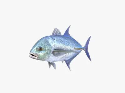 Bluefin Trevally 3D model