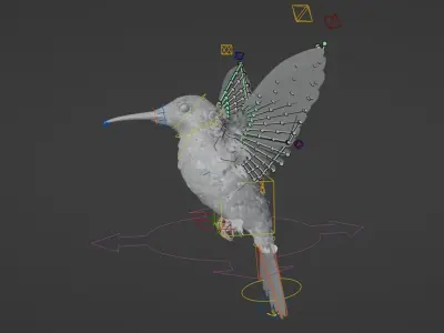 Hummingbird  Low-poly 3D model