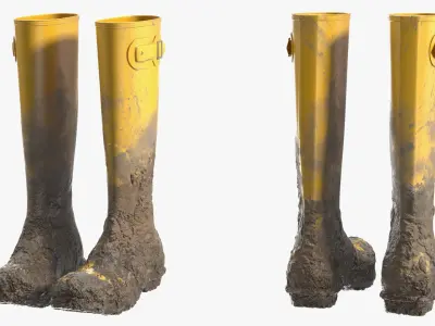 Dirt on Rubber Boots 3D model