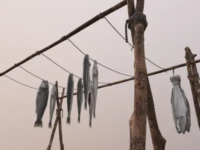 Fish Rack 3D model