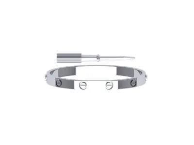 Braclet silver bracelet with screw Free 3D print model