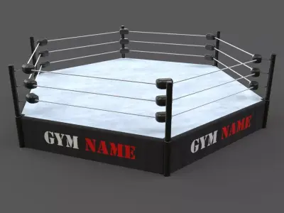 PBR Modular TNA Six sided Hexagon Wrestling Rings Low-poly 3D model