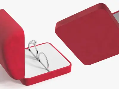 Engagement Rings Silver Color in Velvet Case 3D model